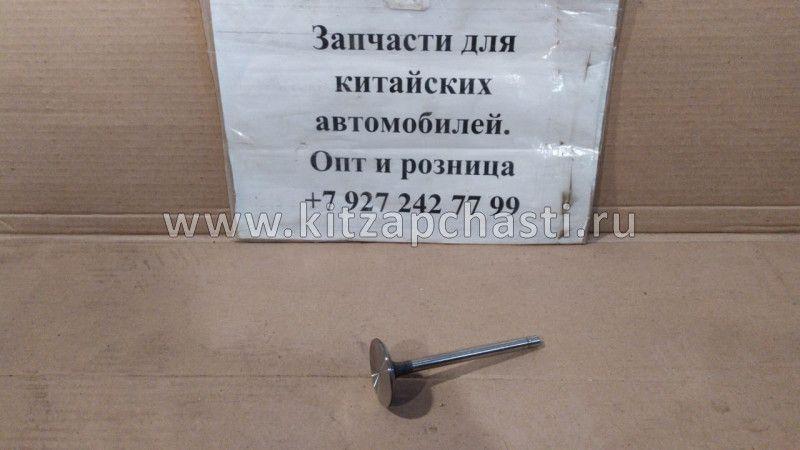 Клапан впускной BAW Fenix 1065 Евро 3 1007011X2